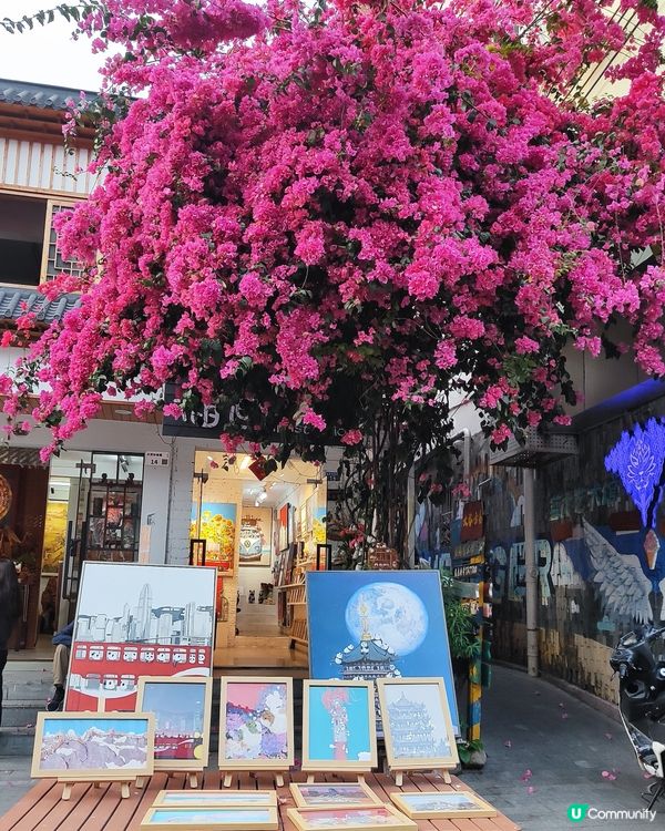 😂扮文青去大分油畫村走走😂