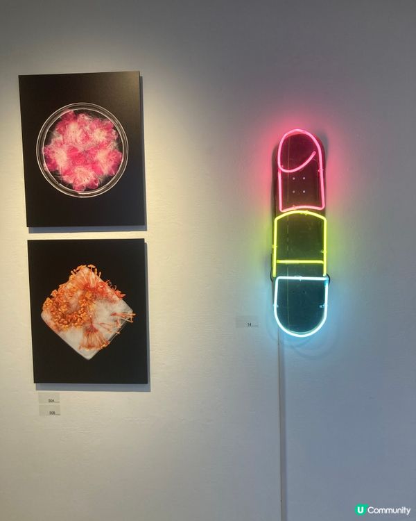 藝術中心的展出 作品應有盡有