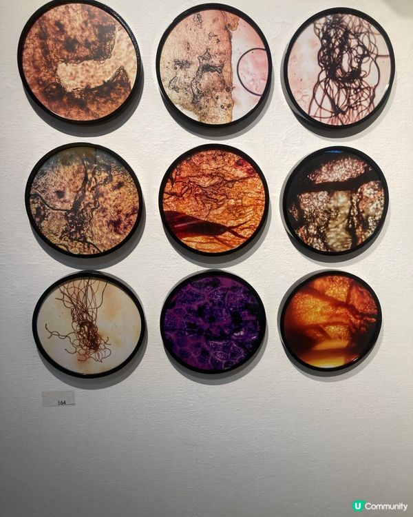 藝術中心的展出 作品應有盡有