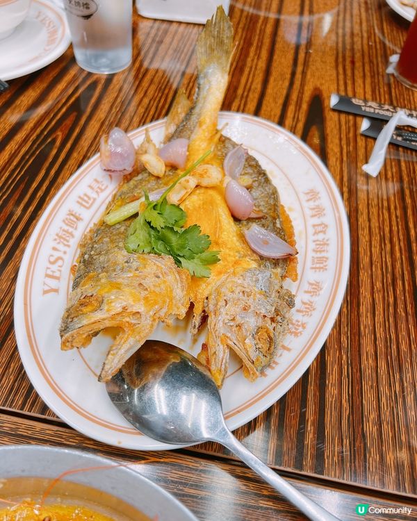 珠海人氣大排檔！必吃牛油焗蝦🦐＋避風塘九肚魚🤤🤤好惹味～