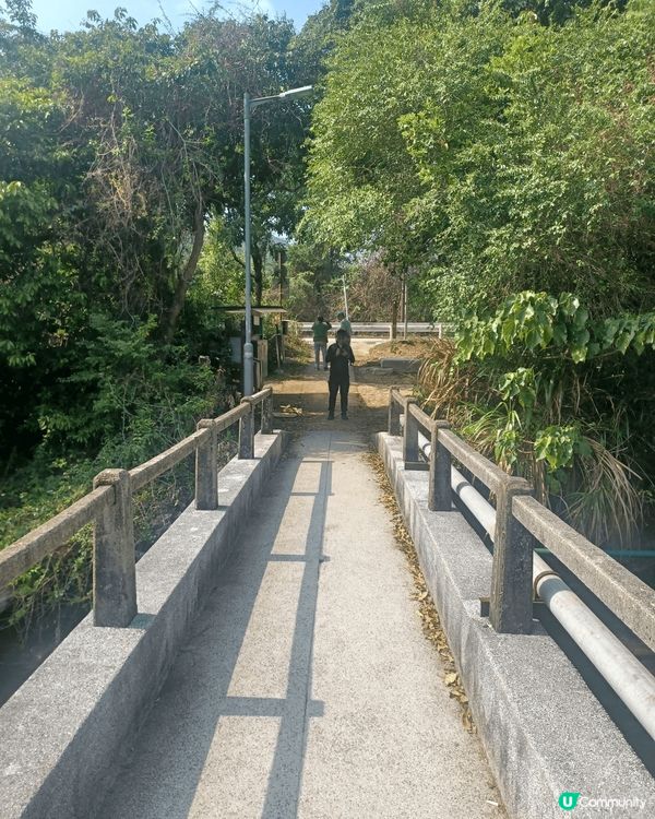 綠野行，湖山水色