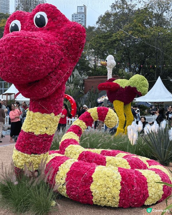 最近花展影嘅靚相