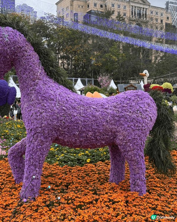 最近花展影嘅靚相