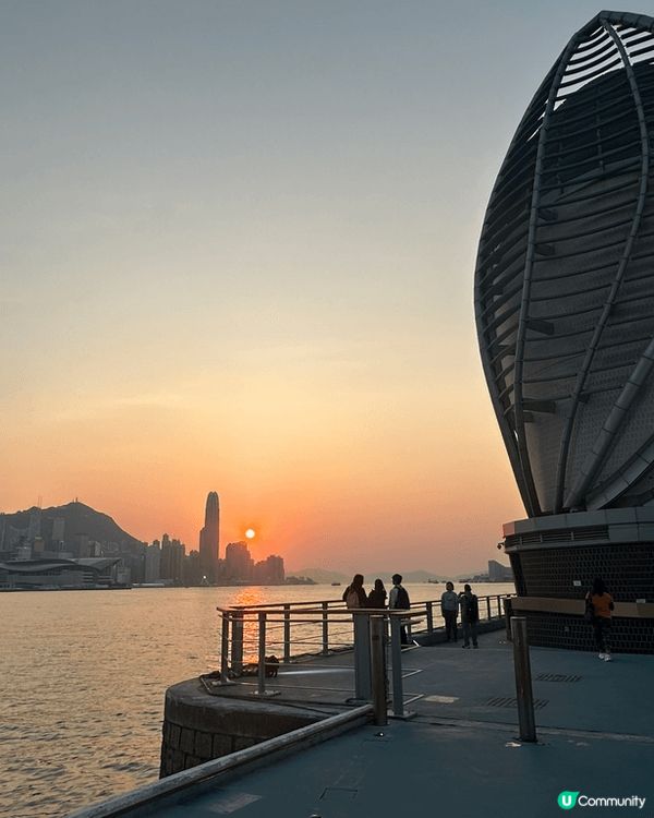 東岸公園看到落
