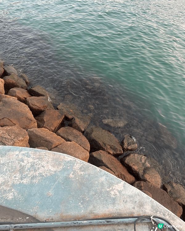 東岸公園看到落