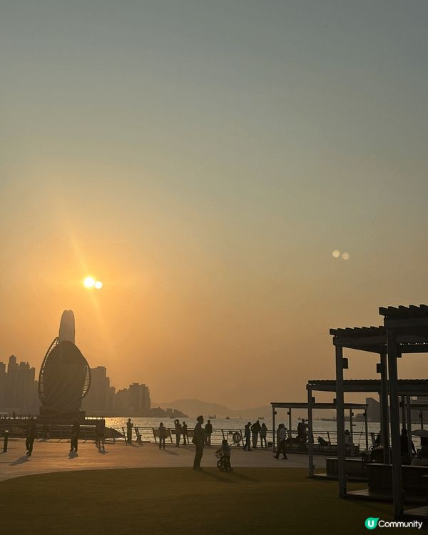 東岸公園看到落