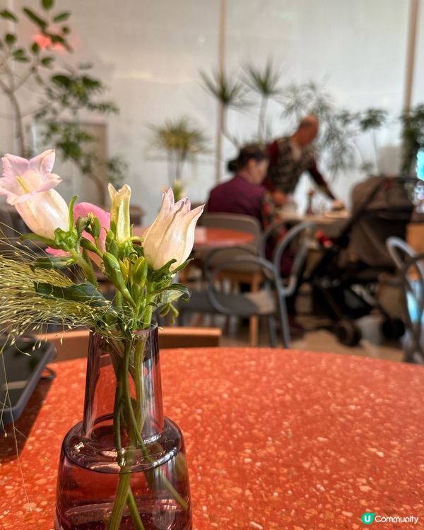 【深圳版M+海上世界 藝術文化地方一日遊】