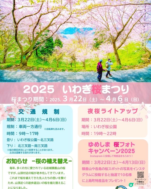 登山賞櫻🌸體會仙女之羽衣既震撼 VS 櫻華園🌸以種類取勝