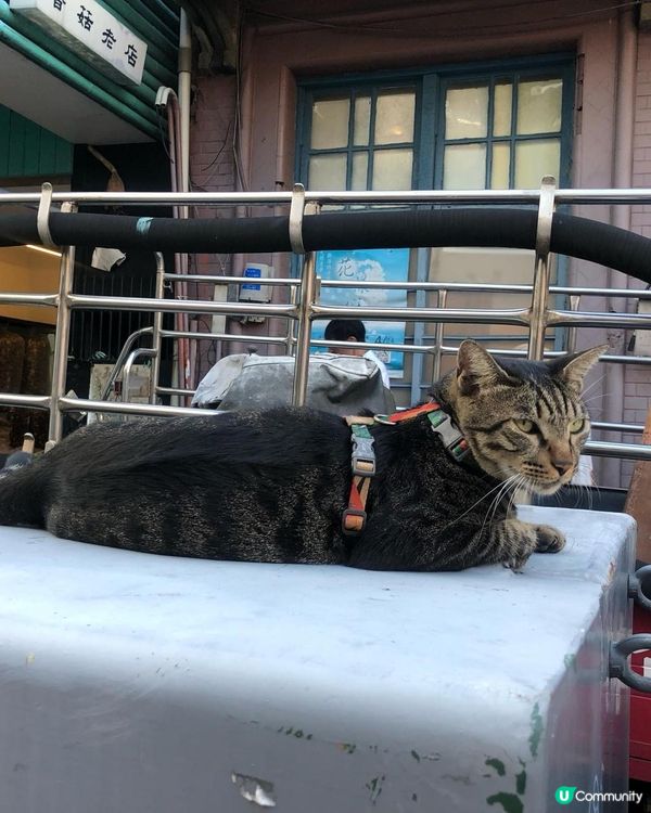 台北過百年繁華熱鬧商圈