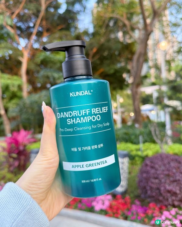 ✨全效抗屑！洗髮乳推介💚