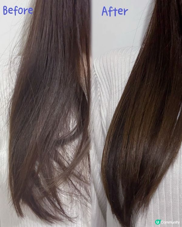 ✨全效抗屑！洗髮乳推介💚