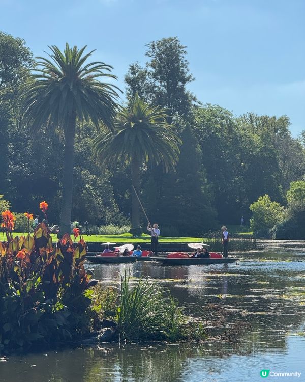 墨爾本每逢三月就有美酒美食節‼️