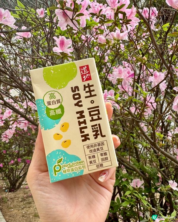 道地新推出【生｡豆乳】❣️