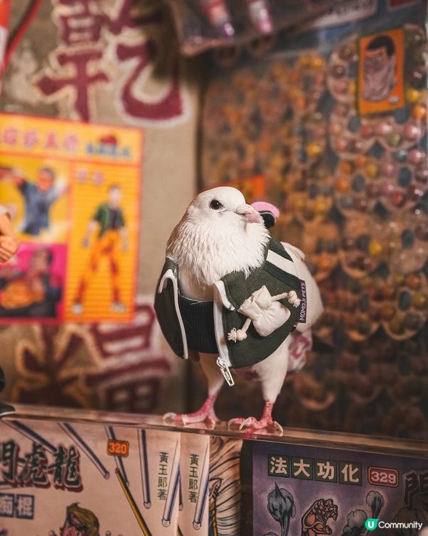 Momoji Pets x 九龍城寨之圍城寵物圍兜