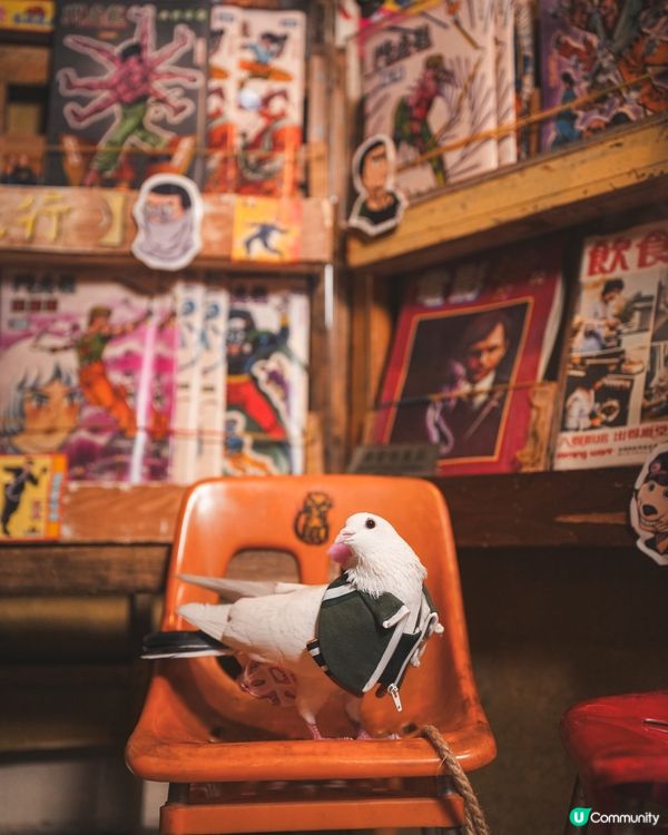 Momoji Pets x 九龍城寨之圍城寵物圍兜