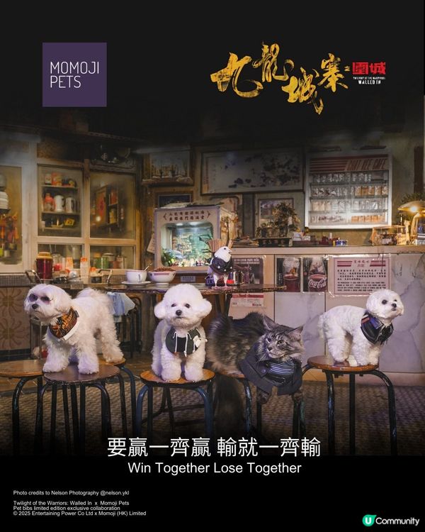 Momoji Pets x 九龍城寨之圍城寵物圍兜