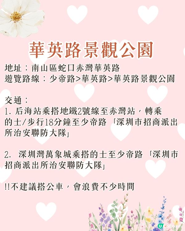 深圳南山區賞花一日遊路線🌸三色堇花海/夢幻櫻花列車/藍花庭園🚗附交通資訊