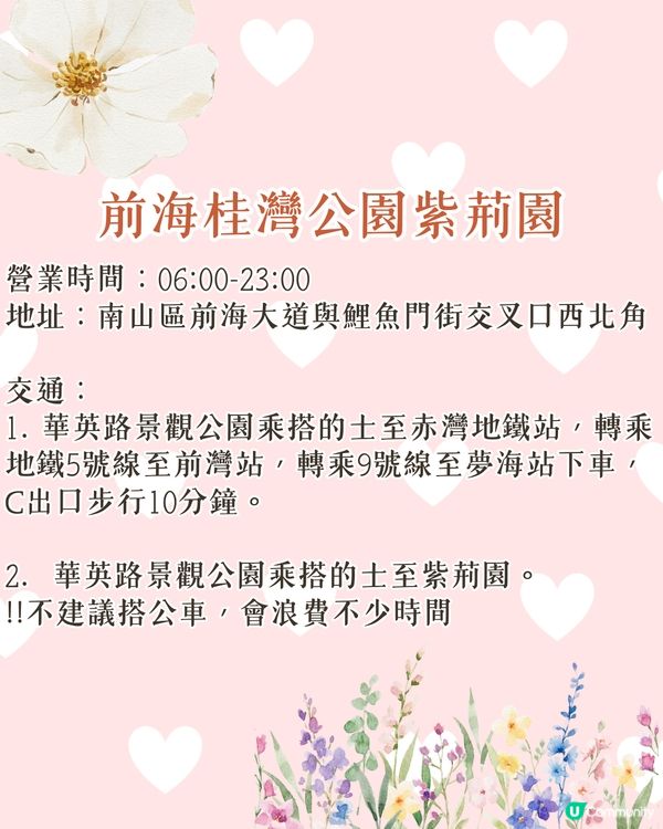 深圳南山區賞花一日遊路線🌸三色堇花海/夢幻櫻花列車/藍花庭園🚗附交通資訊