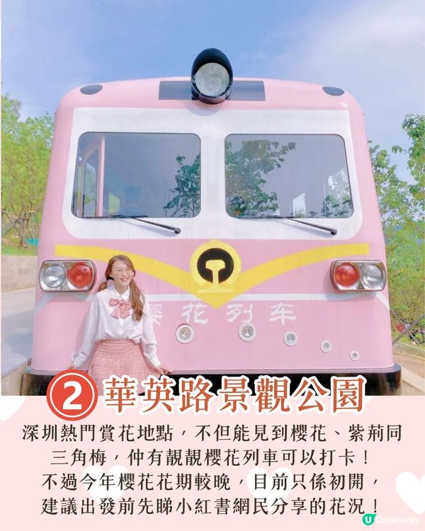 深圳南山區賞花一日遊路線🌸三色堇花海/夢幻櫻花列車/藍花庭園🚗附交通資訊