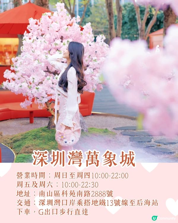 深圳南山區賞花一日遊路線🌸三色堇花海/夢幻櫻花列車/藍花庭園🚗附交通資訊