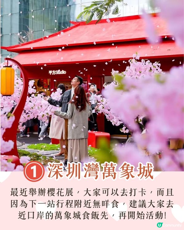 深圳南山區賞花一日遊路線🌸三色堇花海/夢幻櫻花列車/藍花庭園🚗附交通資訊