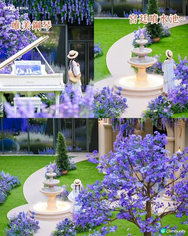 深圳南山區賞花一日遊路線🌸三色堇花海/夢幻櫻花列車/藍花庭園🚗附交通資訊