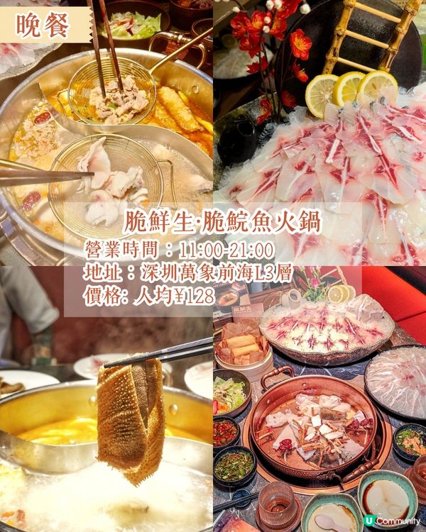 深圳南山區賞花一日遊路線🌸三色堇花海/夢幻櫻花列車/藍花庭園🚗附交通資訊