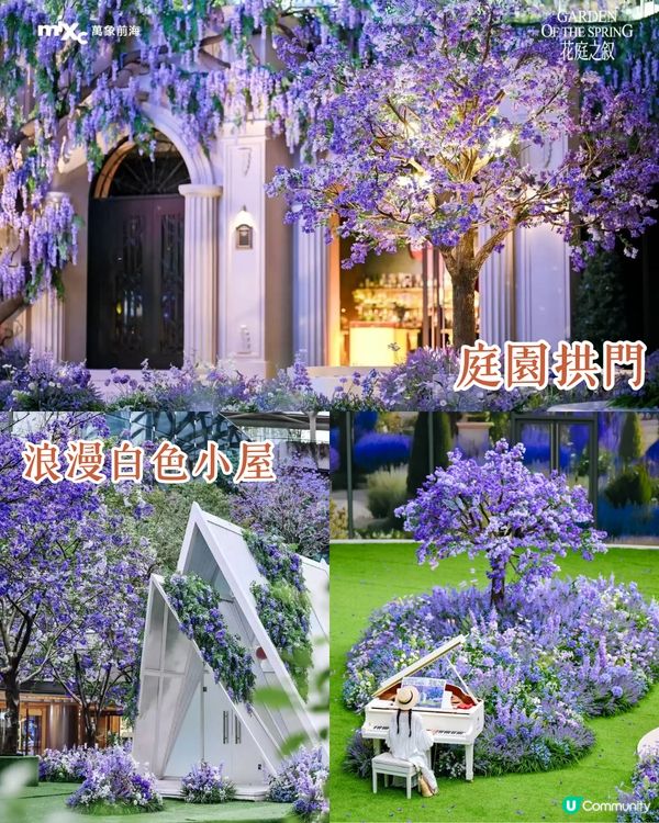 深圳南山區賞花一日遊路線🌸三色堇花海/夢幻櫻花列車/藍花庭園🚗附交通資訊