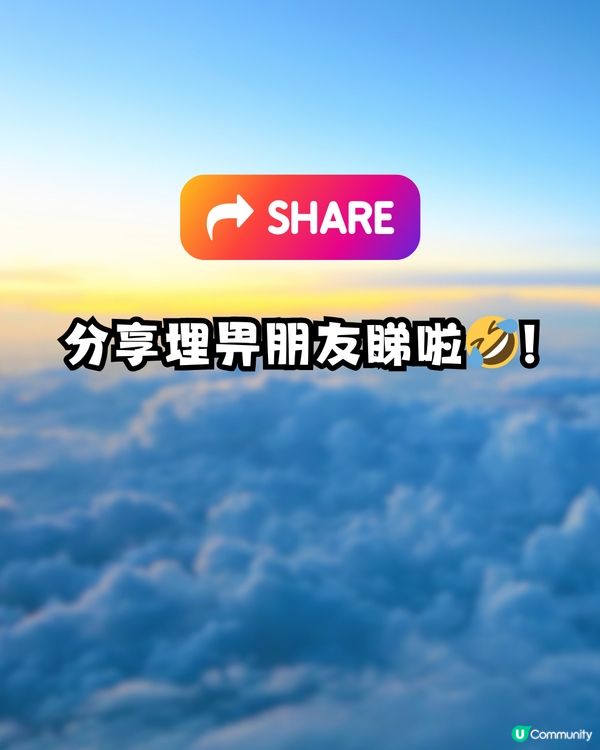 大頭蝦機師因帶漏1物！飛行3小時後全機緊急折返🛬乘客哭笑不得