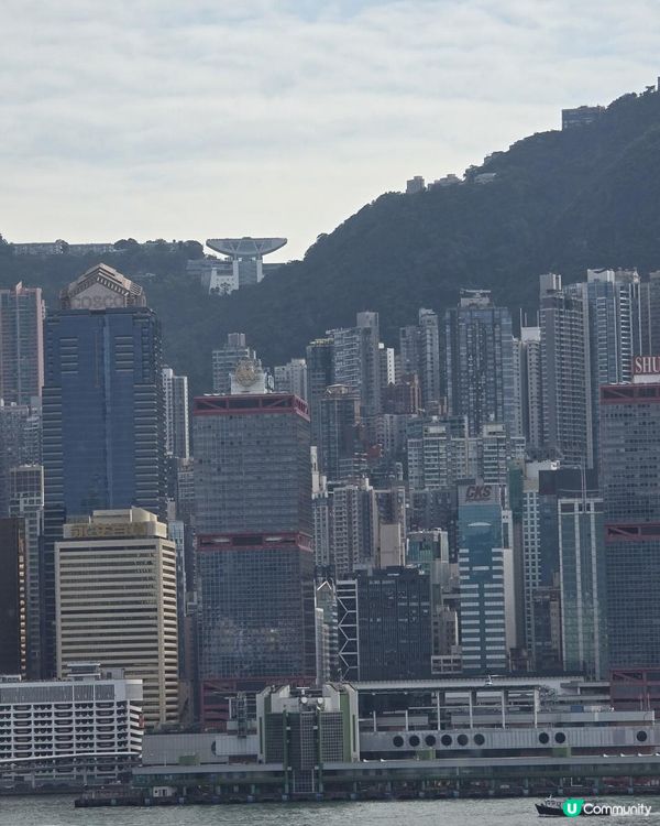望住270度維港靚景食中菜😍