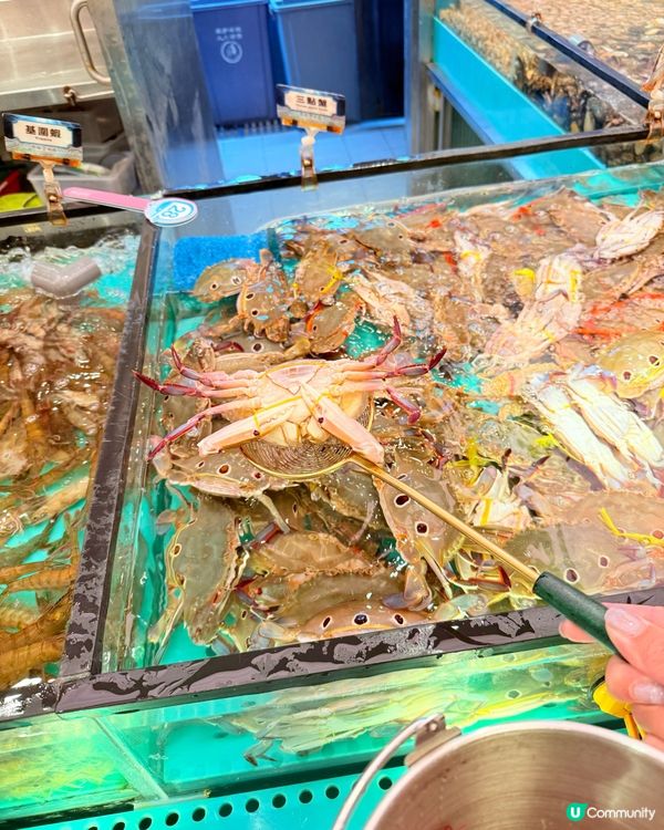 午市3小時性價比好高海鮮火鍋放題