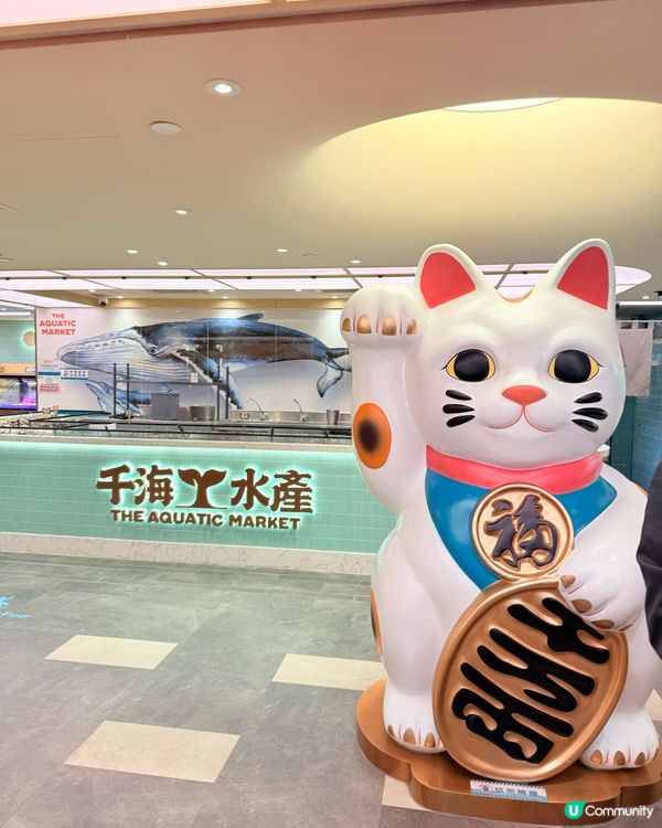 午市3小時性價比好高海鮮火鍋放題