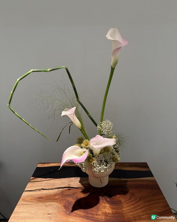 🌸素食茶花齊體驗