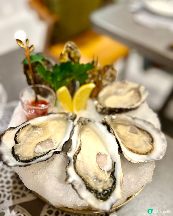 Cooley Oysters 
