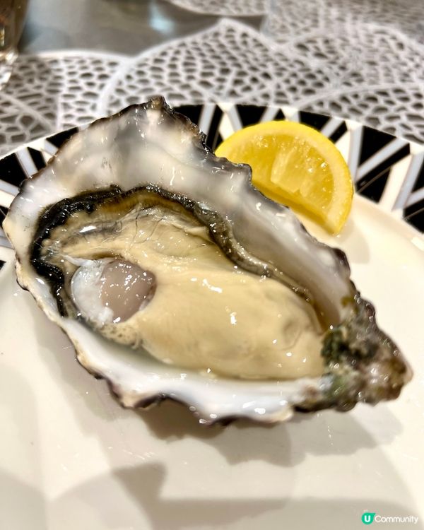 Cooley Oysters 