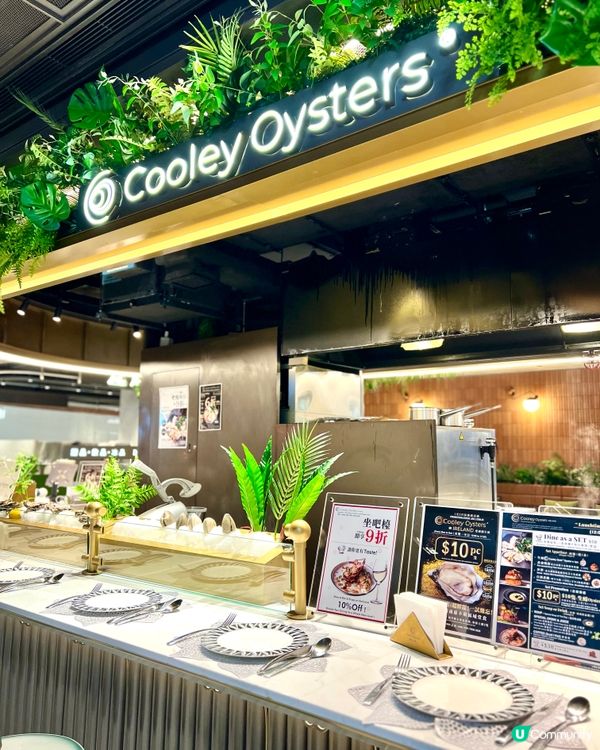 Cooley Oysters 
