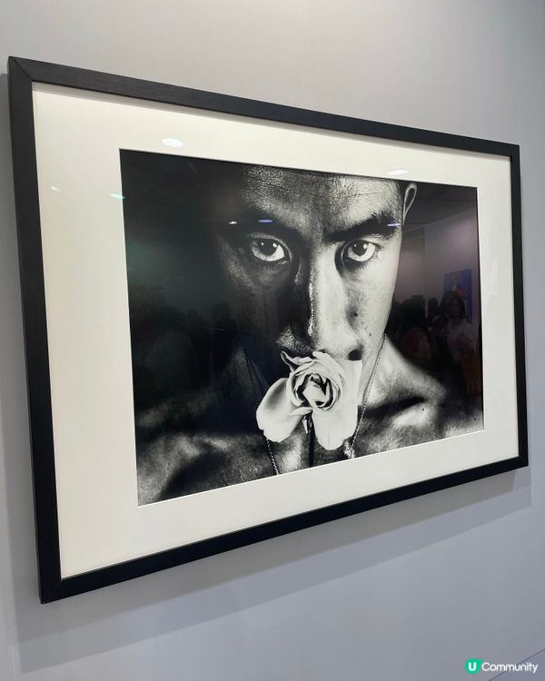 Art Central 2025 Preview