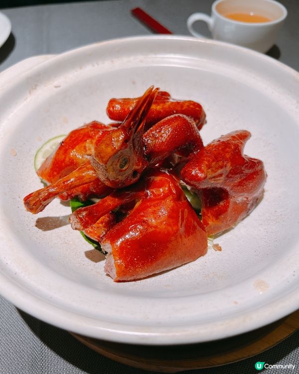 深圳粵菜天花板小炳勝🤩！脆皮乳鴿爆汁封神👑🤤🤤