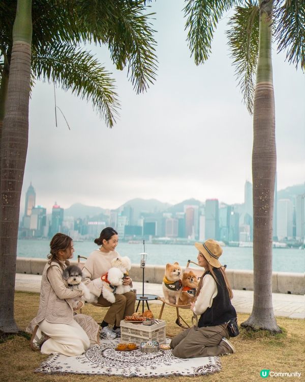 野餐打卡好去處｜維港靚景免費租用露營椅🌅