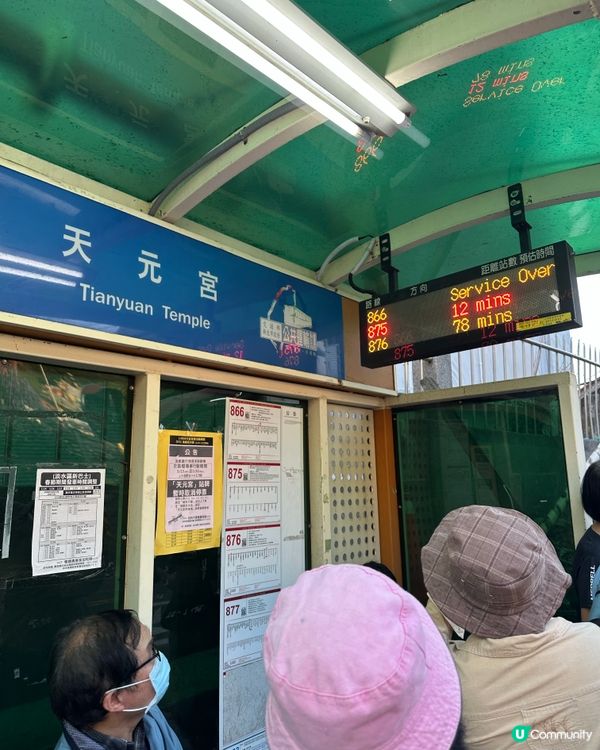 期間限定紫藤花季@台北淡水