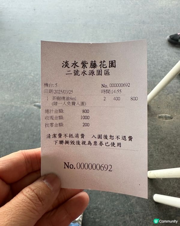 期間限定紫藤花季@台北淡水