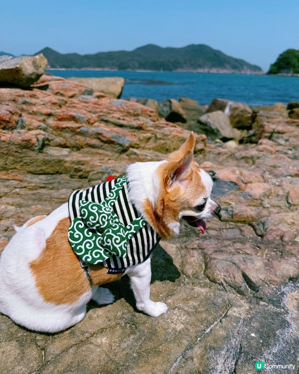 西貢打卡秘景：小棕林灣