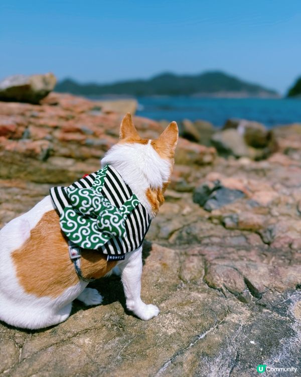 西貢打卡秘景：小棕林灣