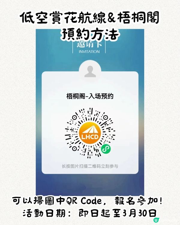 深圳第十屆毛棉杜鵑花會😍5大打卡位 ! 直升機低空賞花遊🚁附報名方法/最佳觀賞期