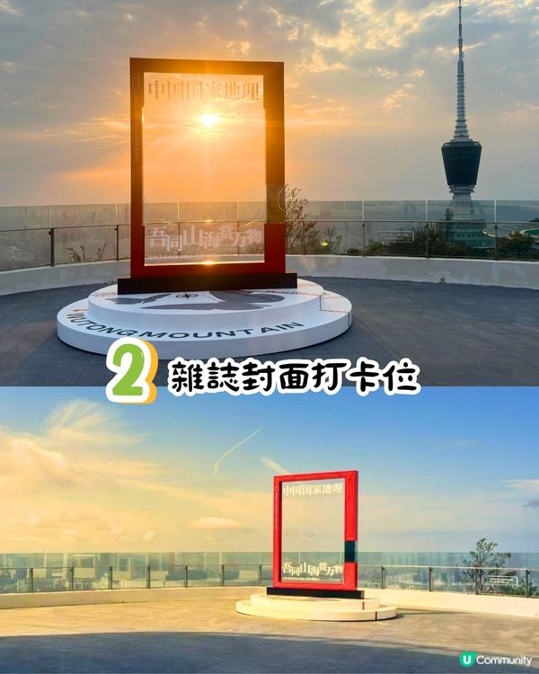 深圳第十屆毛棉杜鵑花會😍5大打卡位 ! 直升機低空賞花遊🚁附報名方法/最佳觀賞期