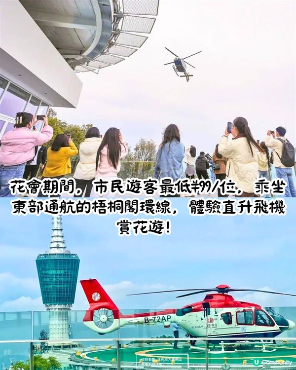 深圳第十屆毛棉杜鵑花會😍5大打卡位 ! 直升機低空賞花遊🚁附報名方法/最佳觀賞期