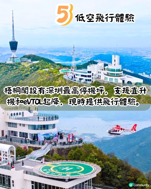 深圳第十屆毛棉杜鵑花會😍5大打卡位 ! 直升機低空賞花遊🚁附報名方法/最佳觀賞期