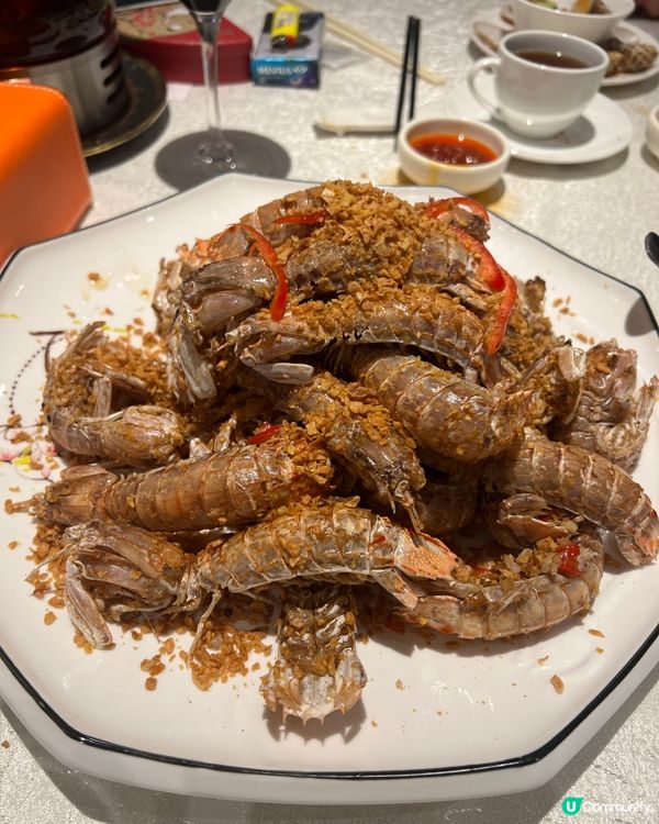 銅鑼灣品粵居：瀨尿蝦山震驚我🤤😍😋香蔥蒸魚超惹味！