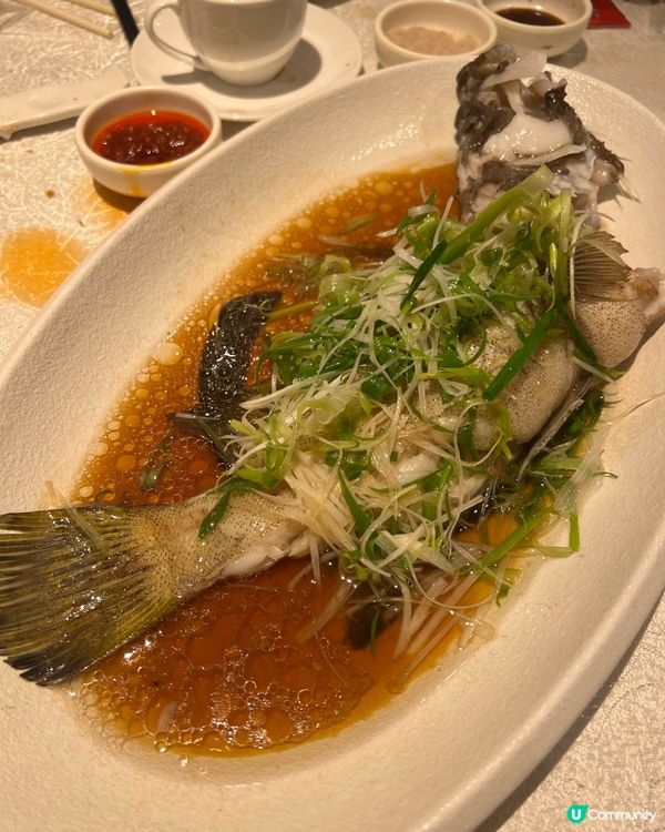 銅鑼灣品粵居：瀨尿蝦山震驚我🤤😍😋香蔥蒸魚超惹味！