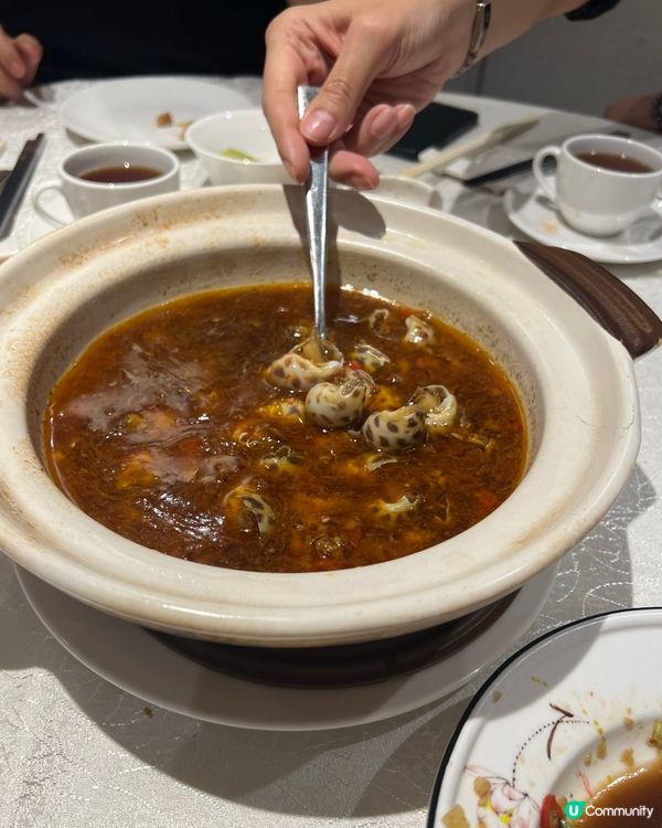 銅鑼灣品粵居：瀨尿蝦山震驚我🤤😍😋香蔥蒸魚超惹味！